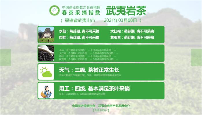 关于2021春茶采摘指数，湄潭翠芽进入三级的信息(10)