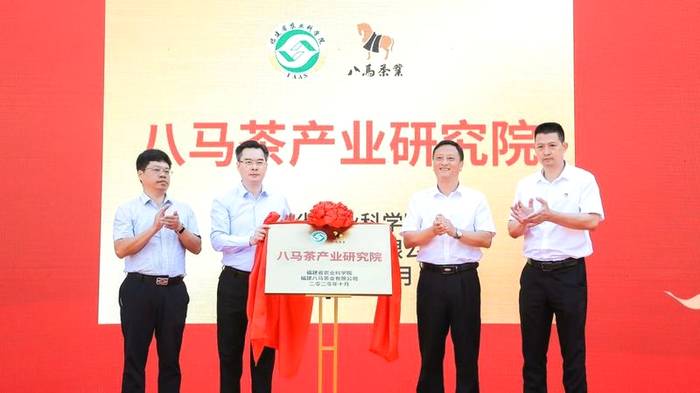 关于2020安溪铁观音、武夷岩茶产地纳税谁家独占鳌头？的热门信息(5)