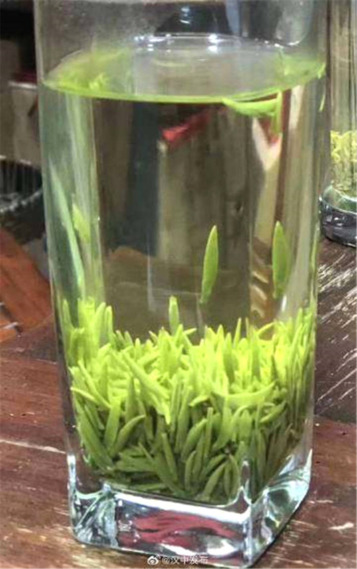 关于陕西汉中市成为西北地区最大的茶产业基地的热门资讯(4)