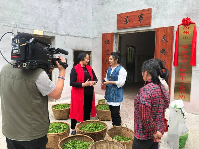 有关于中央电视台财经频道《生财有道》栏目组走进苍梧县六堡镇取景拍摄的热门消息(1)