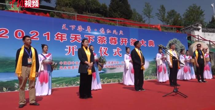 关于云南凤庆3200多岁古茶树迎来2021春茶头采的热门信息