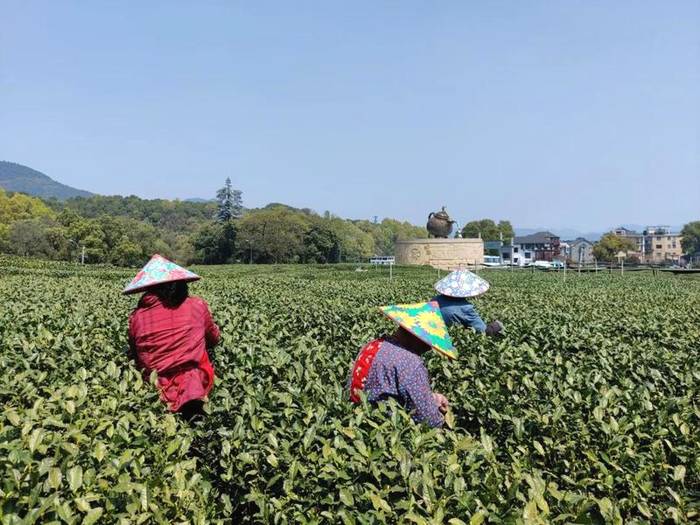 关于华春莹点赞杭州！外国朋友也被惊艳到了：“味道好极了……”的热门消息(7)