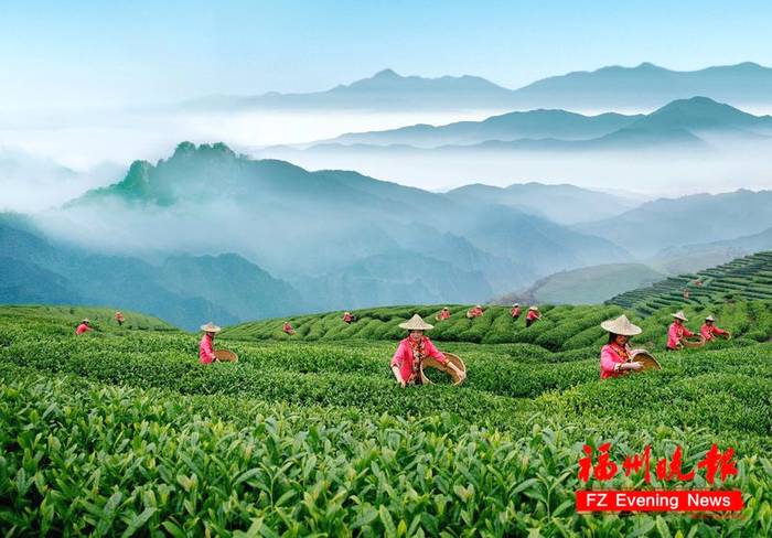 有关于福州特产茉莉花茶,法国米其林餐厅都在推介的热门信息(3)