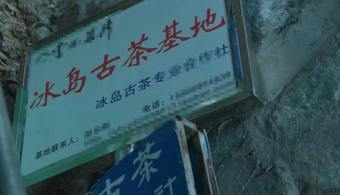 有关于插牌却不收茶的奸商！终于活成普洱茶界的悲剧的最新消息