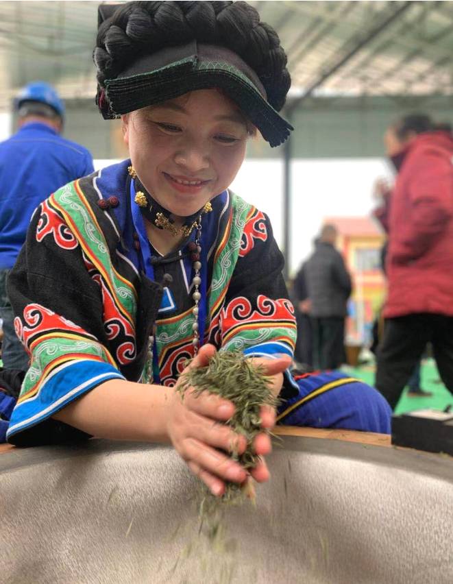 关于乐山市：小凉山采茶节开幕 马边绿茶团体标准正式发布的热门资讯(1)