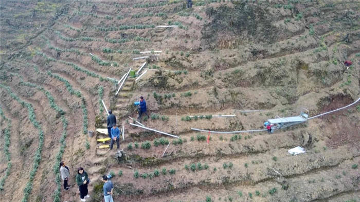 有关于宜宾这片茶园长出了一条“轻轨”！载重可达450公斤！的新闻(4)