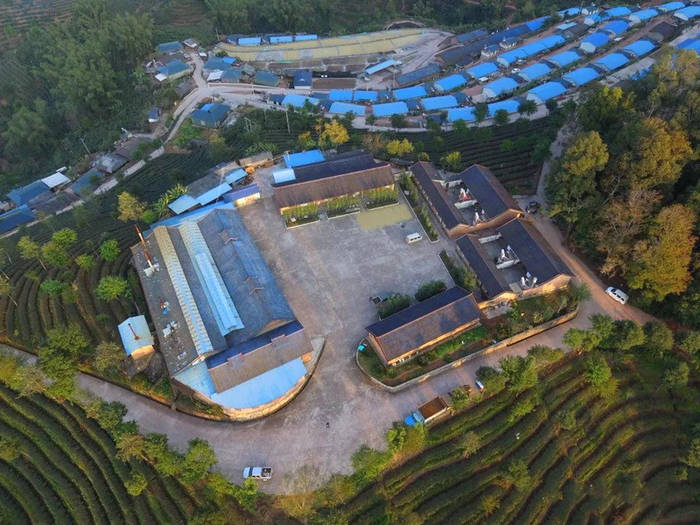 关于小茶园 大精品——“娜允红珍”香溢四方的消息(2)