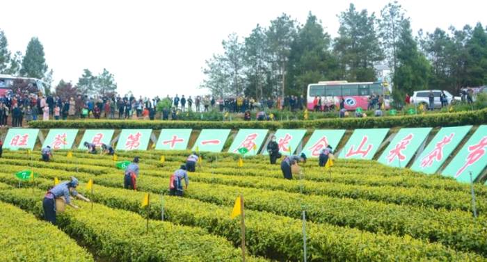 有关于“2021年一季度茶叶出口”“茶产业十四五发展”“白茶城启动”的最新消息(6)