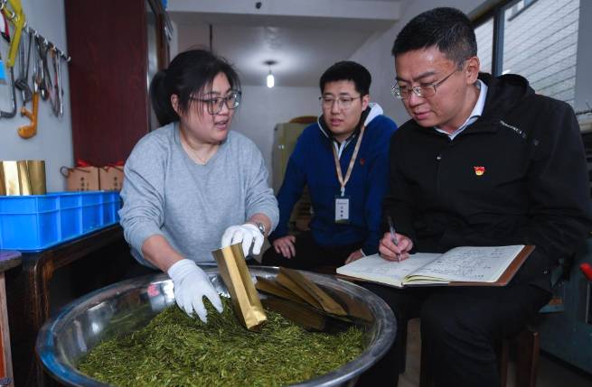 关于杭州富阳区高山云雾茶采摘季 多举措助力茶农增收的热门资讯(3)