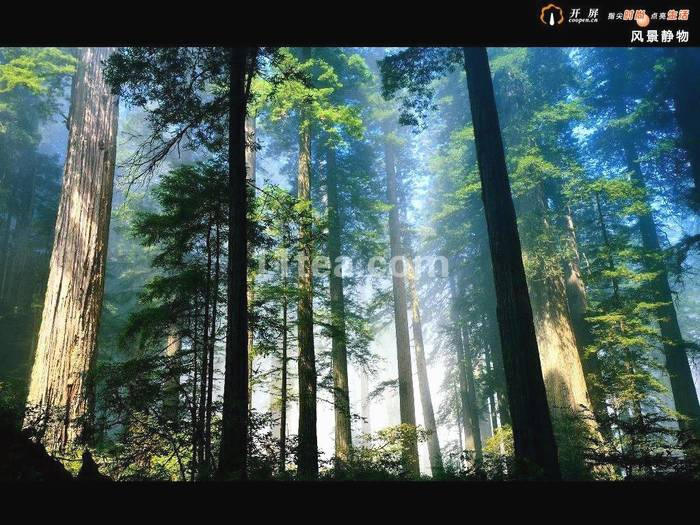 有关于普洱茶经营中的信用困惑(转）的最新资讯