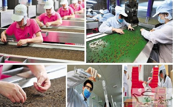 关于研发丰富茶产品成为茶企创新目标的热门新闻