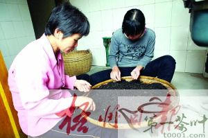 有关于寻访六堡茶传统工艺制作传承人韦洁群的信息(4)