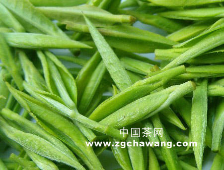 关于“日照绿茶”商标防伪标识启用的热门消息