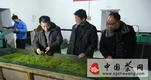 有关于又到春茶上市季 川茶将打响马年品牌突围战的最新信息