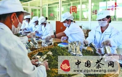 有关于雪域俄色茶开启致富路的消息(2)