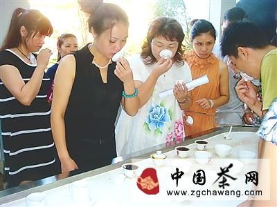 有关于南平市千名茶农与百名茶艺师公益培训圆满落幕的热门新闻(1)