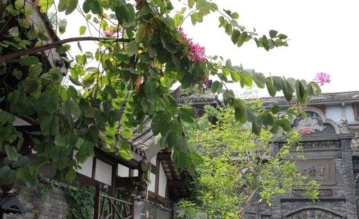 有关于川菜川茶川戏 品成都别样人生三昧的最新消息