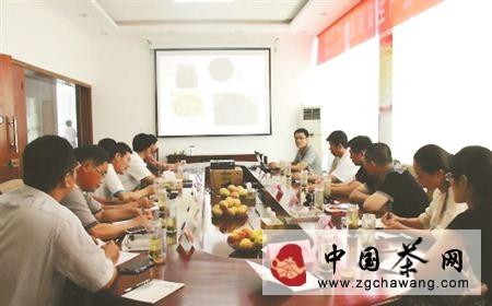 关于日照茶厂研发黑茶 预计年底上市的热门消息