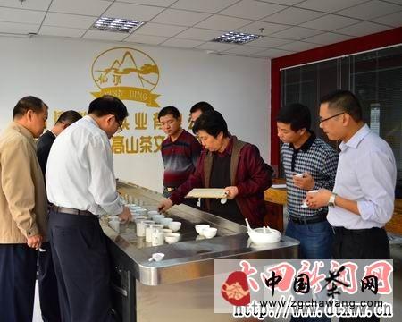 有关于大田高山茶文化节举办秋季茶叶质量鉴评活动的资讯(3)