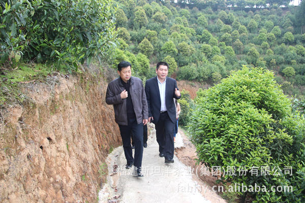 有关于省质监局至我司做“茶叶标准化技术委员会红茶工作组”进度调研的消息(2)