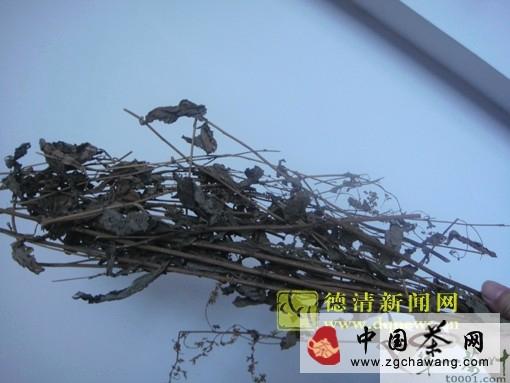 有关于德清：市民热购自制六月霜凉茶防暑的最新消息