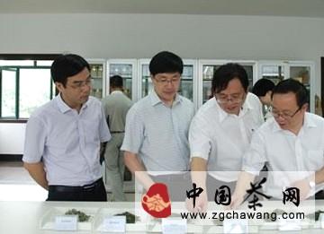 有关于浙江省政协副主席陈小平一行到中茶所走访指导的新闻