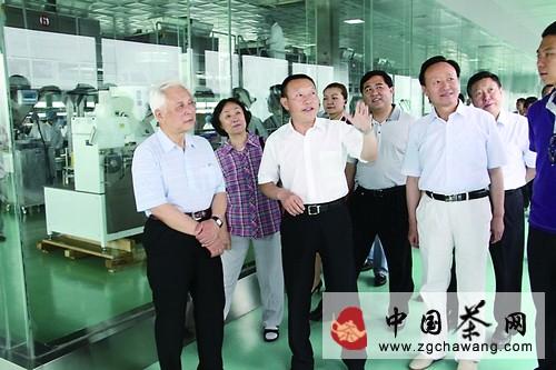 有关于文新茶叶：建立在品牌质量上的名茶复兴的热门信息