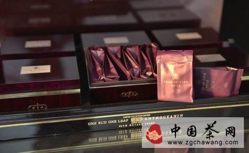 有关于云南则道:生命之叶香飘昆明 世纪城旗舰店盛大启幕的信息(5)