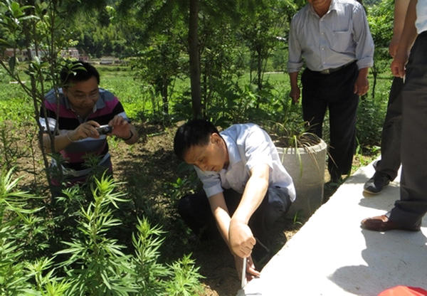 有关于岳西良奇生态园通过现代农业（茶叶）项目组验收的最新信息