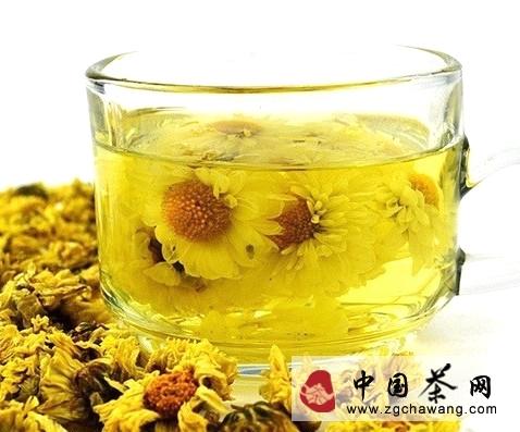 关于桐乡杭白菊出口量占全国六成以上的热门信息