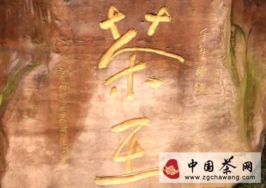 有关于黔茶发现之旅一 探访久安历经千年古茶树群的热门消息