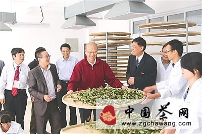 有关于北京大学校长王恩哥到武夷山体验岩茶制作过程的资讯
