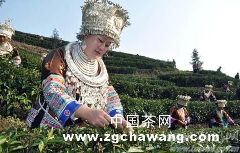 有关于中国茶叶专家来柳把脉柳州茶产业的热门新闻