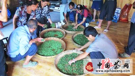 关于保靖县黄金茶种植大村举办创业培训班的热门信息(2)