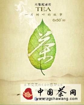 关于探寻中国茶叶传播之路的最新消息