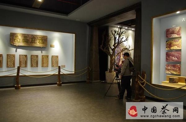 有关于给你不一样的曼松贡茶山的热门信息(1)