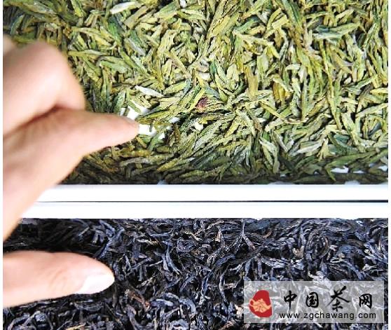 有关于浙江茶业谋变“绿肥红瘦”格局的资讯