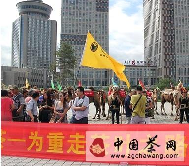 关于重走亚欧茶叶之路呼和浩特站驼队整装出征的资讯
