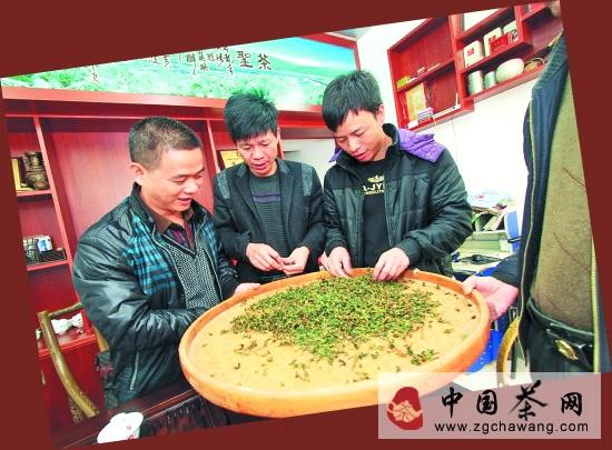 关于安溪明年将力推GAP认证 打造茶园“升级版”的新闻(3)