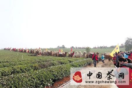 有关于重走茶叶之路 湖南黑茶巡游世界的资讯