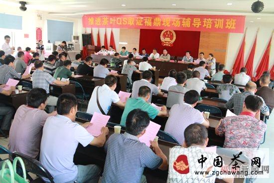 有关于宁德福鼎举办推进茶叶QS取证现场辅导培训班的热门消息