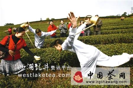 有关于巴南银针一“泡”走红 茶叶产业走上复兴路的最新消息