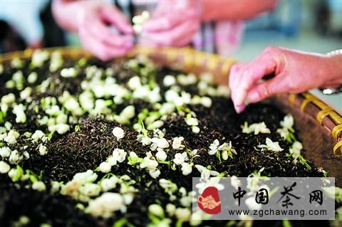 关于苏州花茶能否东山再起的资讯