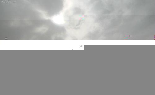 有关于【央视纪录】《茶,一片树叶的故事》之二“路的尽头”的最新资讯(2)