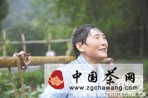 有关于杭州迎来后高温时期，龙井茶农还是不得闲(图)的最新信息(2)