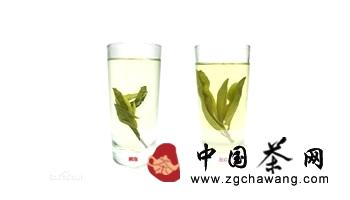 关于海南苦丁茶荣膺  茶饮中的“绿色黄金”的消息(4)
