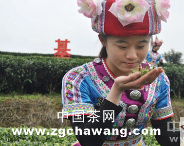 有关于茶产业成昭平新兴支柱优势产业的热门新闻