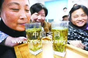有关于马连道散装茶首次全标保质期的资讯