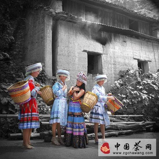 有关于行走千年新昌风光 感受万里茶路飘香的最新消息(5)