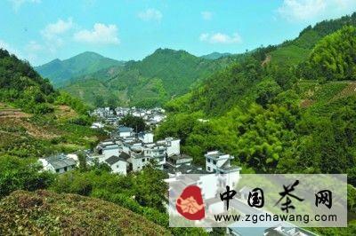 有关于光明村 山清水秀茶飘香的最新消息